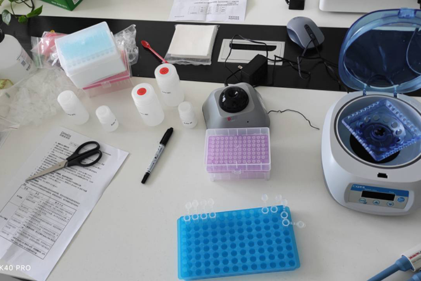 松材線蟲檢測儀培訓(xùn)現(xiàn)場