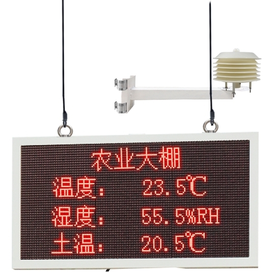 溫室大棚環境監測系統：破解傳統農業瓶頸，邁向精準化生產